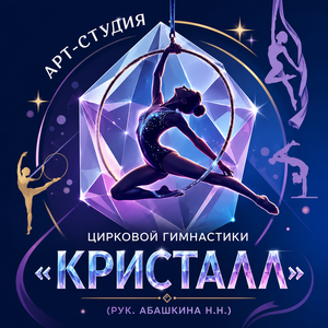 Арт-студия цирковой гимнастики «Кристалл» (рук. Абашкина Н.Н.)